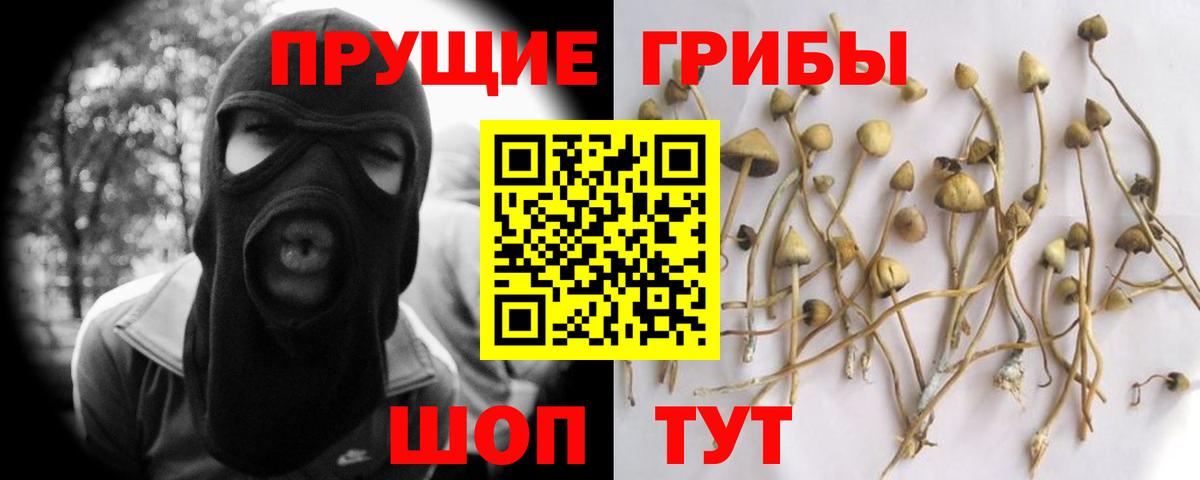 Нижневартовск  Псилоцибиновые грибы мухоморы  Псилоцибиновые грибы Cubensis  Вход с VPN 